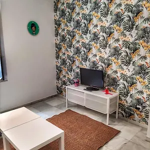 Coqueto Donkey Appartement